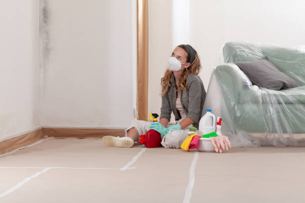 Reliable Commercial Mold Remediation contractor in Springs, PA by WQB Mold Removal