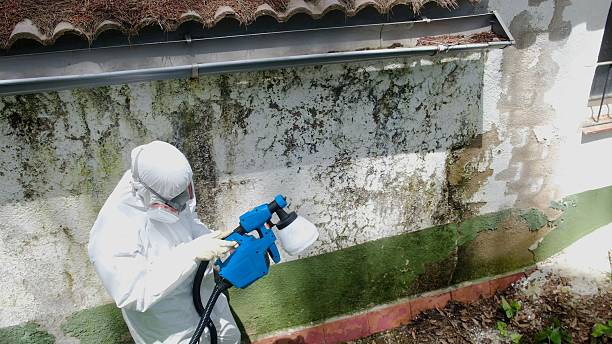 Top rated local Commercial Mold Remediation specialists in Springs, PA